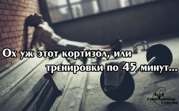 Ох уж этот кортизол, или тренировки по 45 минут