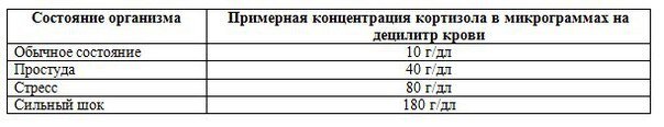 Ох уж этот кортизол, или тренировки по 45 минут