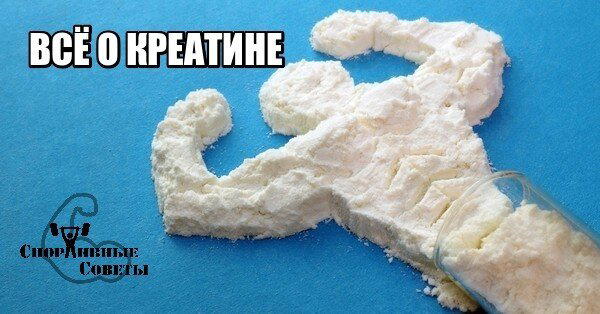 Всё о креатине
