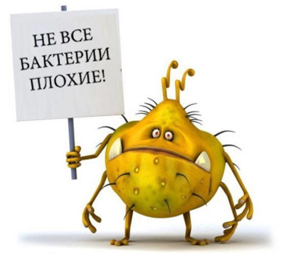 Как бактерии помогают нарастить мышечную массу