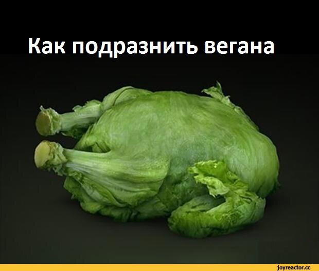 Есть ли польза в вегетарианстве?