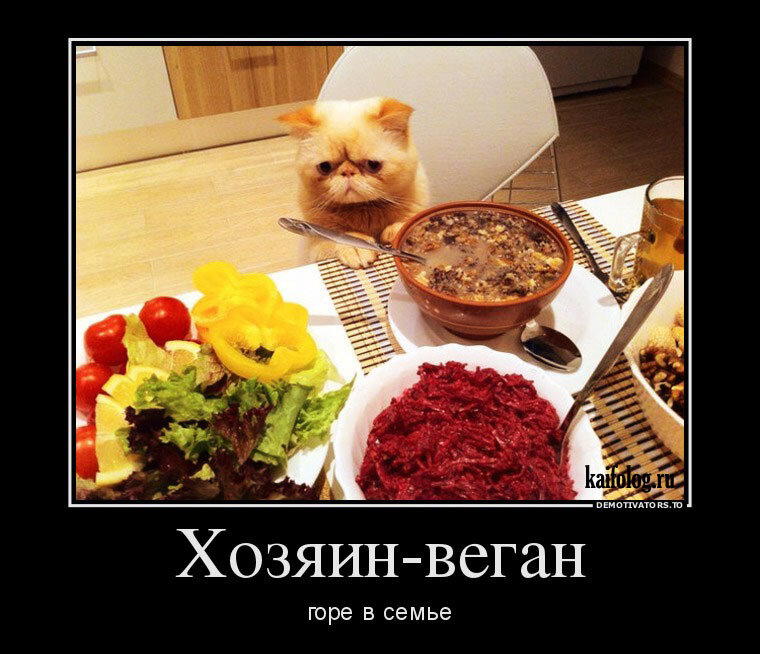 Есть ли польза в вегетарианстве?