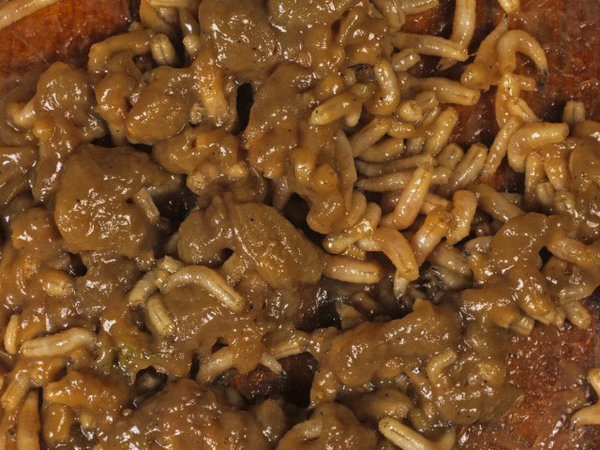 Не нужно есть мясо – оно гниет в кишечнике. ©Любой веган