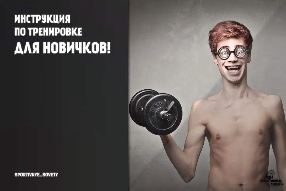 Инструкция по тренировке для новичков