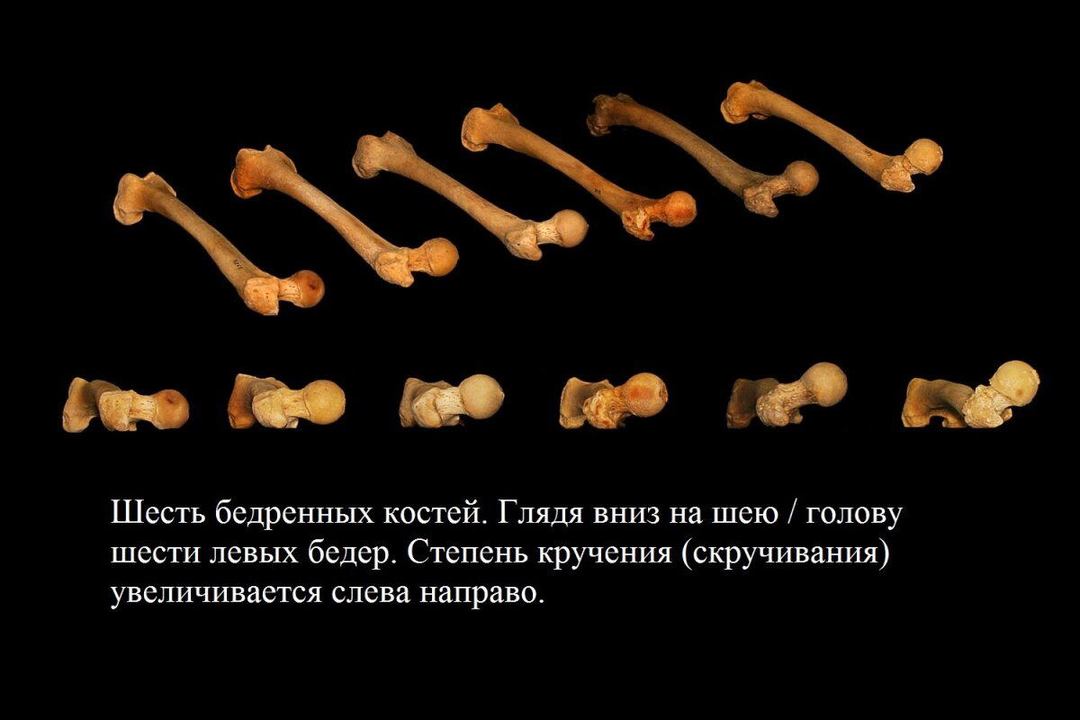 Идеальная техника, лучшее упражнение или зачем нужен тренер