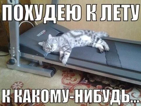 Пора готовить тело к лету!! Или как составить для себя программу тренировок