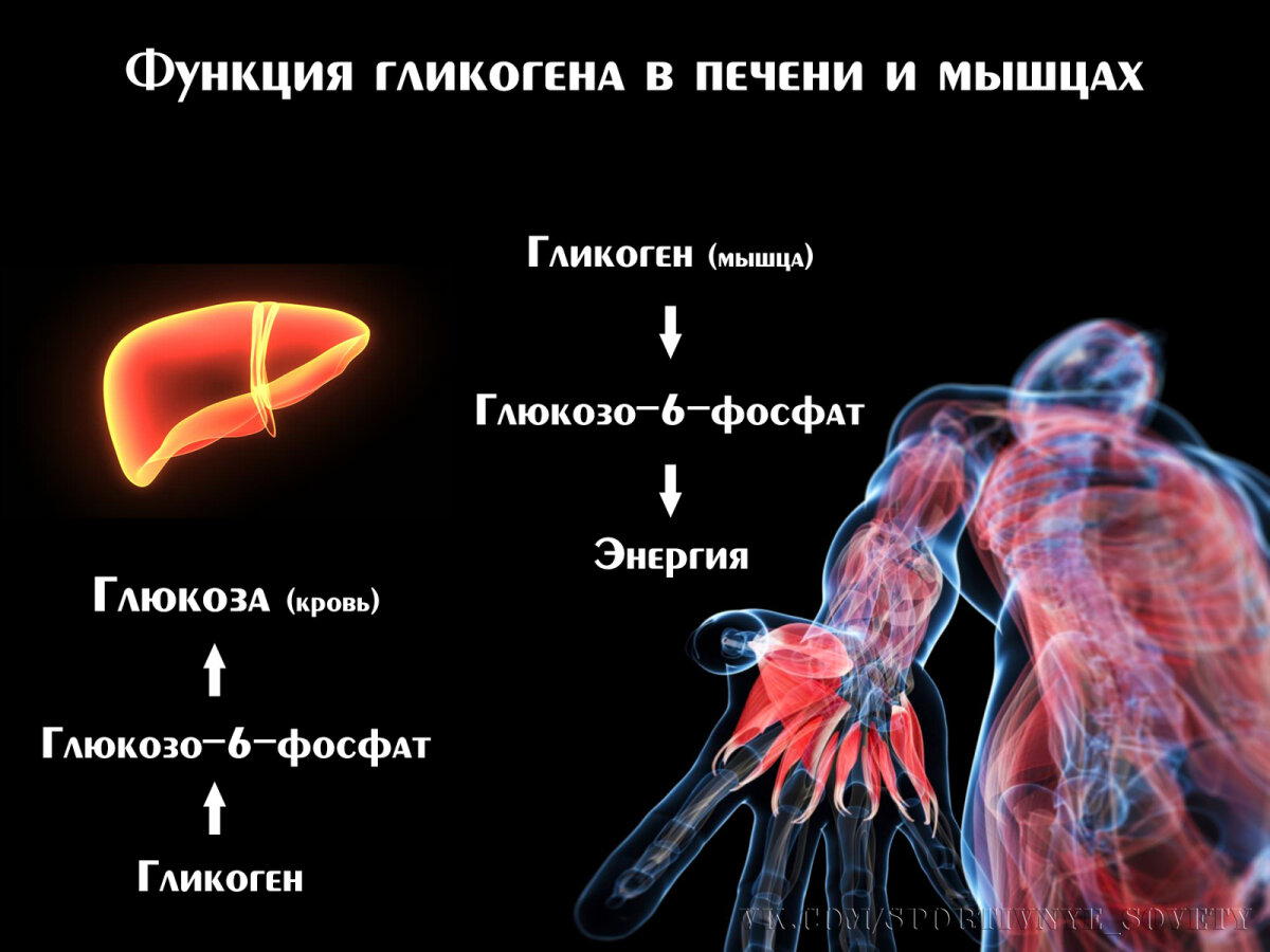 Существуют ли жиросжигающие тренировки?