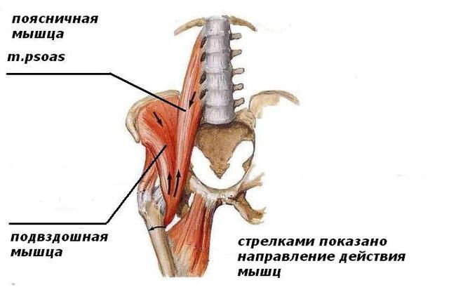 Как накачать кубики пресса. Полное руководство