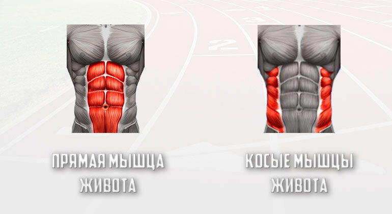 Как накачать кубики пресса. Полное руководство