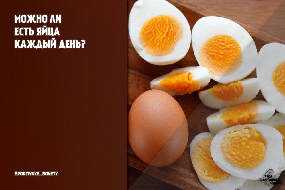 Можно ли есть яйца каждый день?