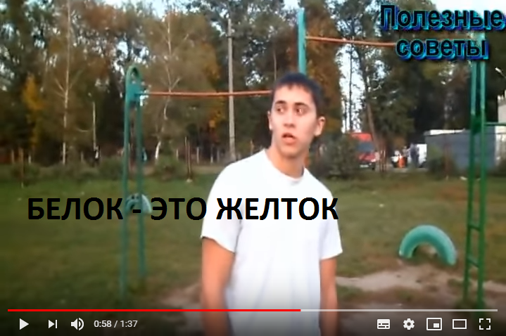 Коротко о связках и сухожилиях
