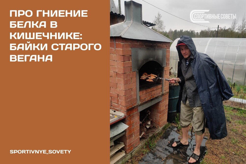 Про гниение белка в кишечнике: байки старого вегана