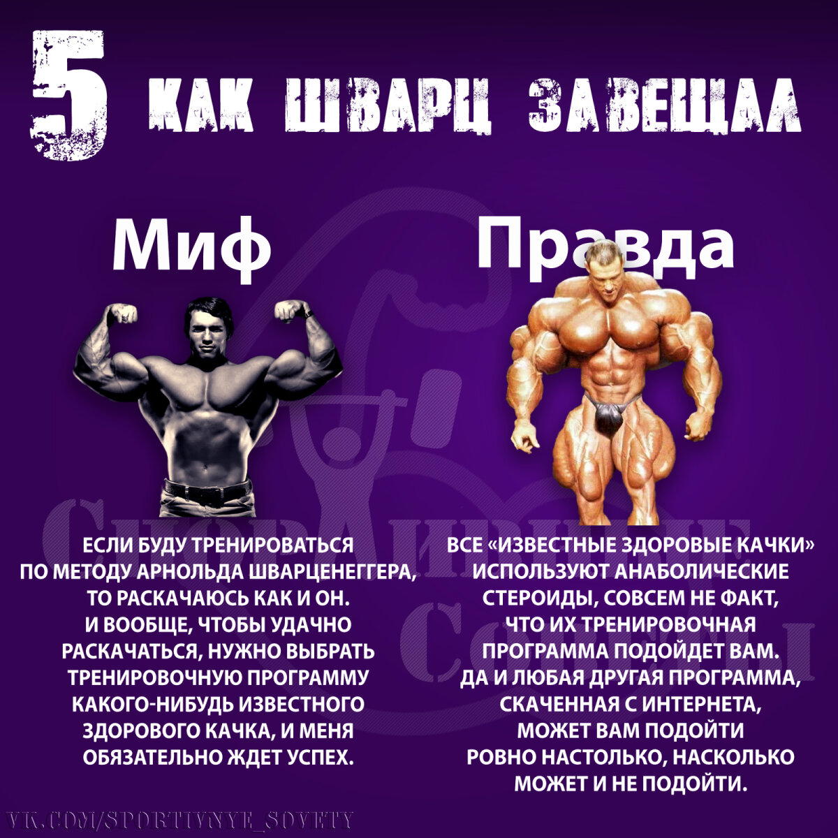 Мифы про тренировки
