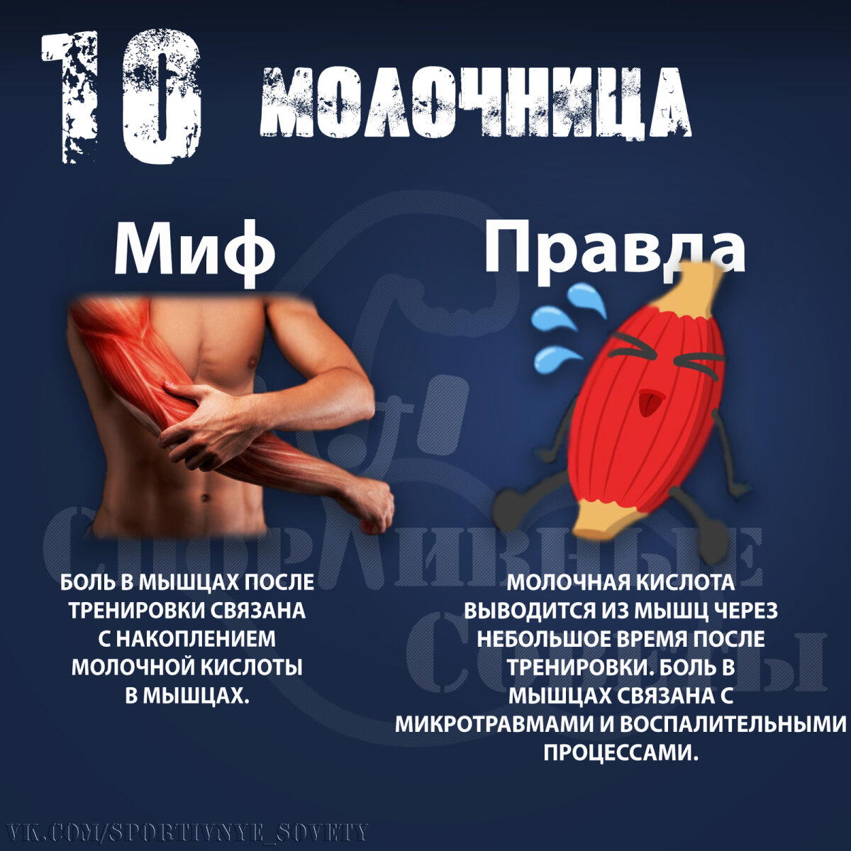 Мифы про тренировки