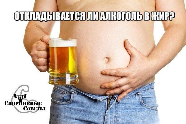 Откладывается ли алкоголь в жир?