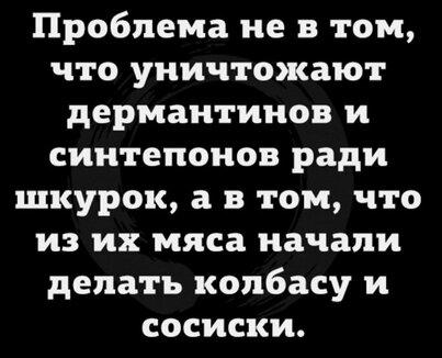 Бедные дермантины)