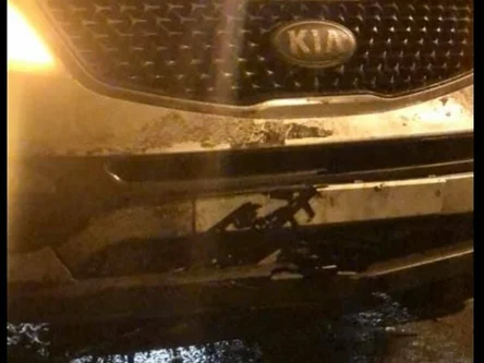 Мошенники придумали опасный способ «развода» автомобилистов на трассе М4 «Дон»