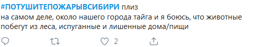 Помогите нам #ПОТУШИТЕПОЖАРЫВСИБИРИ