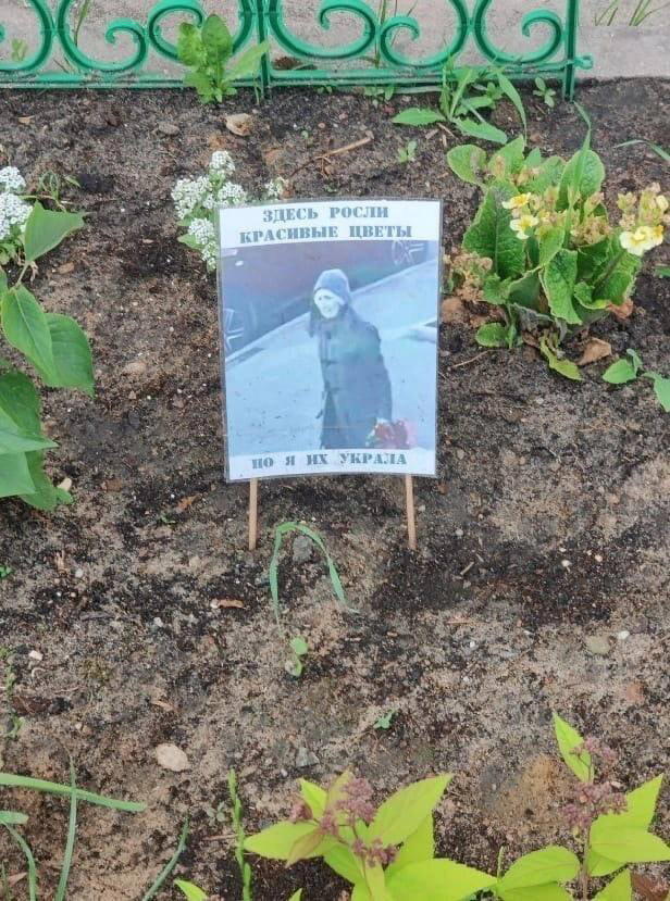 В Москве продолжается борьба с ворами растений с придомовых участков