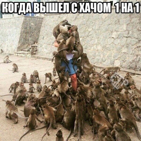 В свете недавних событий