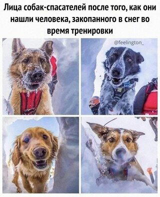 Спасатели
