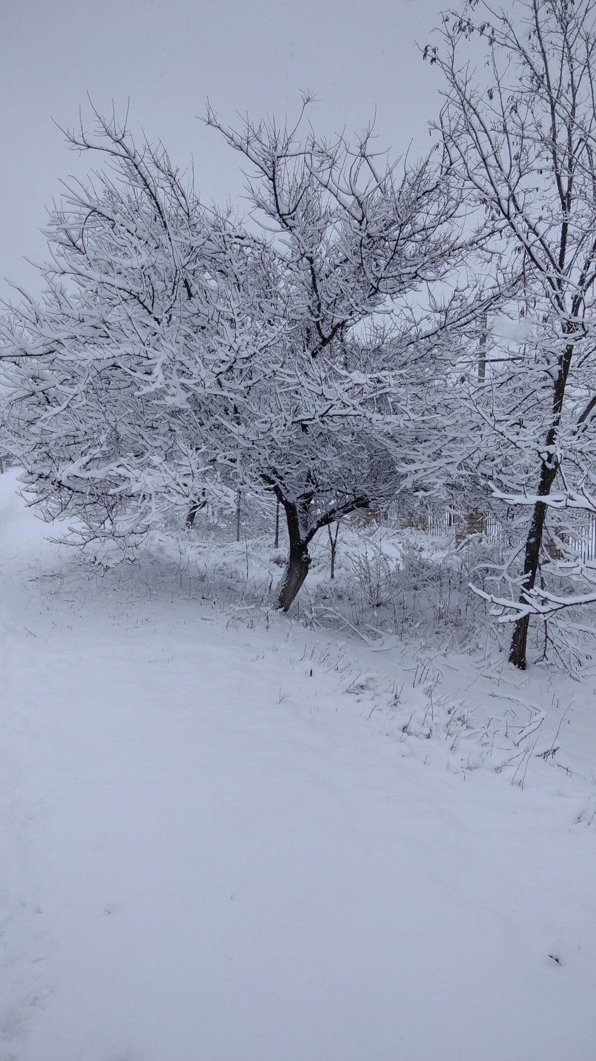 Зимняя сказка