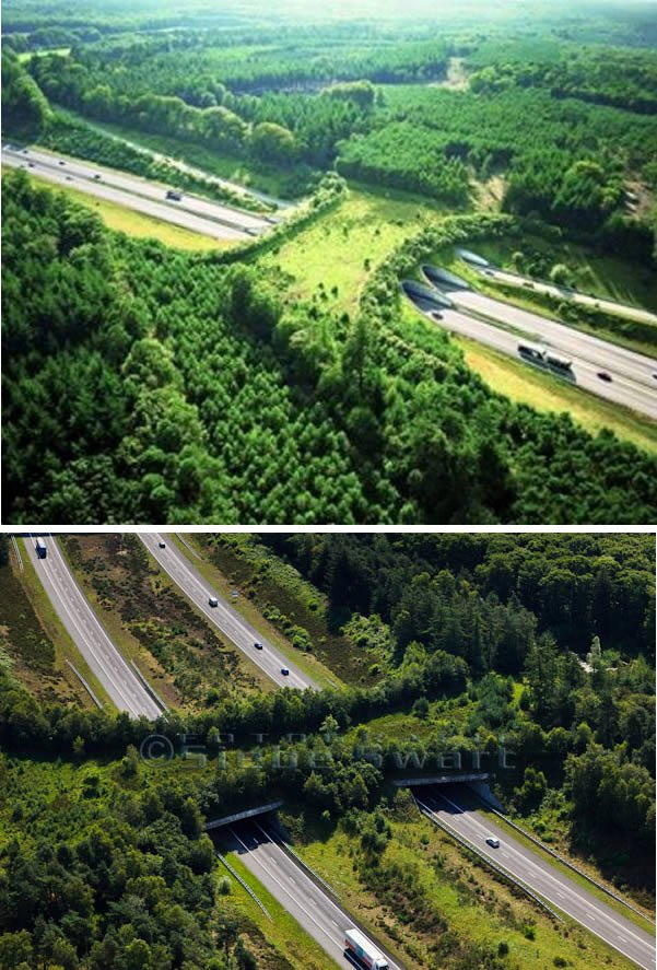 Архитектура за гранью