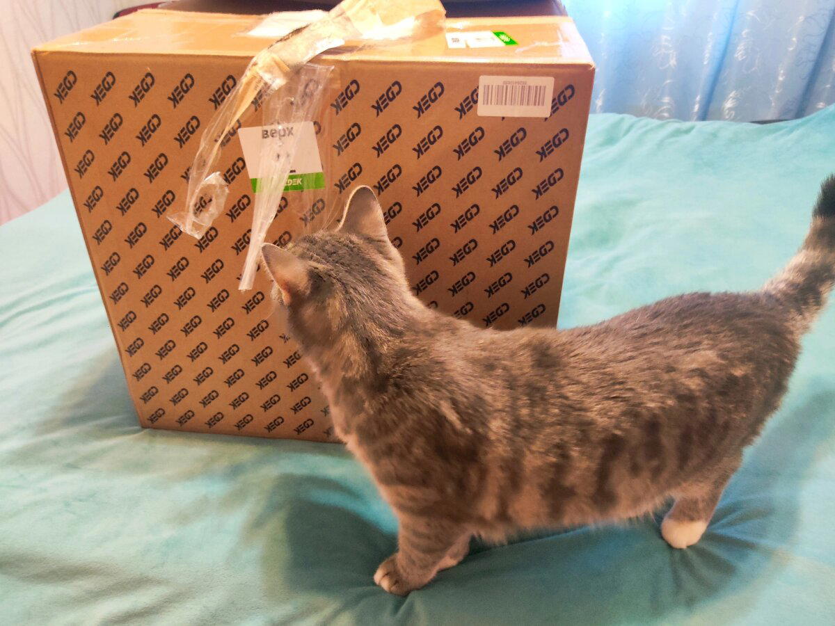 Ещё один дружеский обмен #4