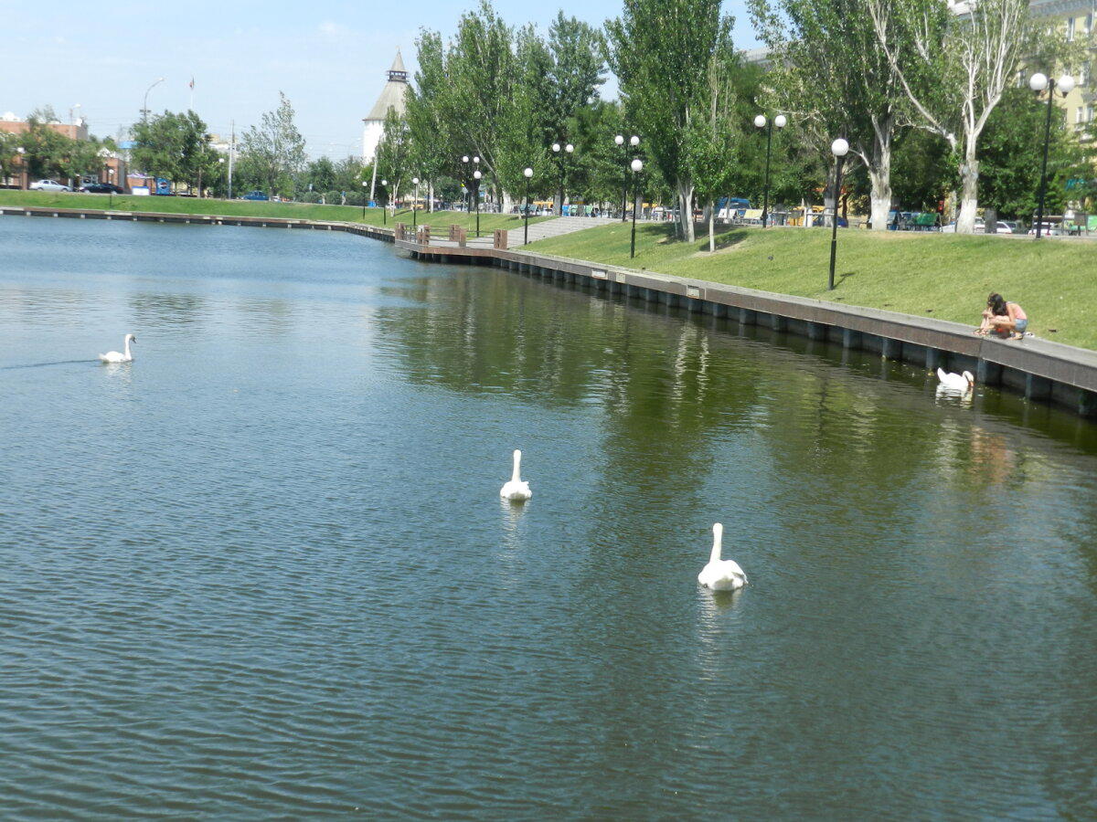 Командировка в Астрахань