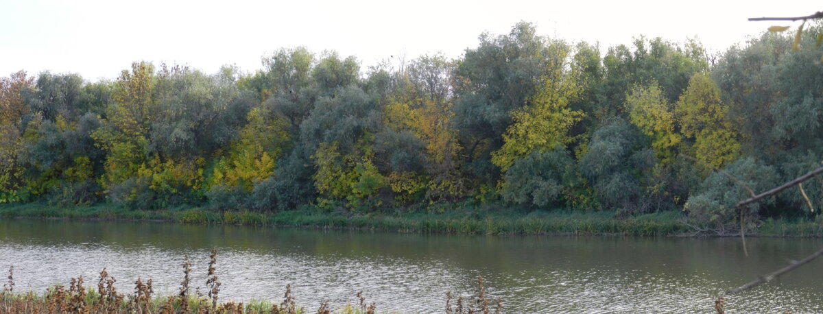 Командировка в Астрахань