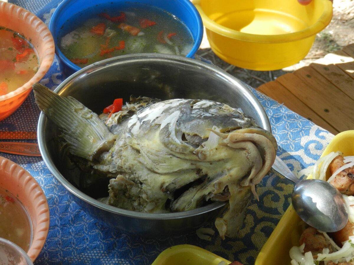 Командировка в Астрахань