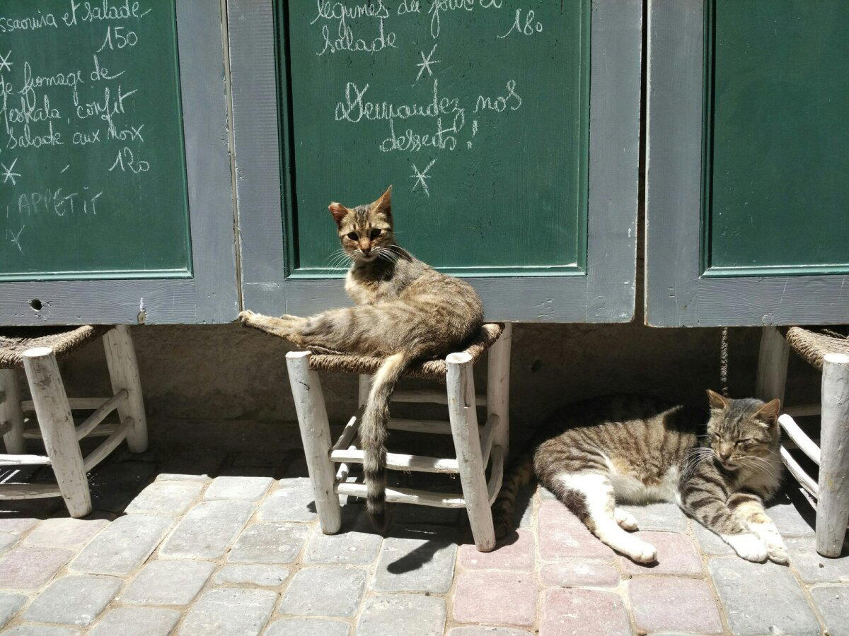 Марокко. Остановка вторая - Эссуэейра (Essaouira). Продолжение.