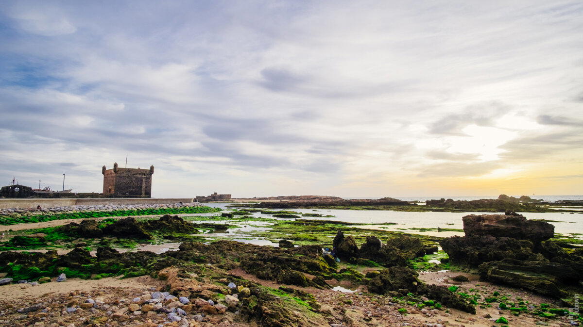 Марокко. Остановка вторая - Эссуэейра (Essaouira). Продолжение.