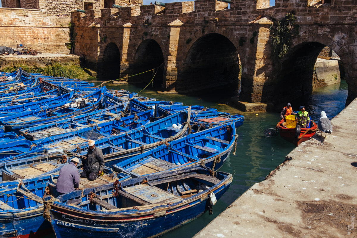 Марокко. Остановка вторая - Эссуэейра (Essaouira). Продолжение.