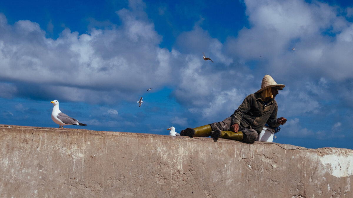 Марокко. Остановка вторая - Эссуэейра (Essaouira). Продолжение.