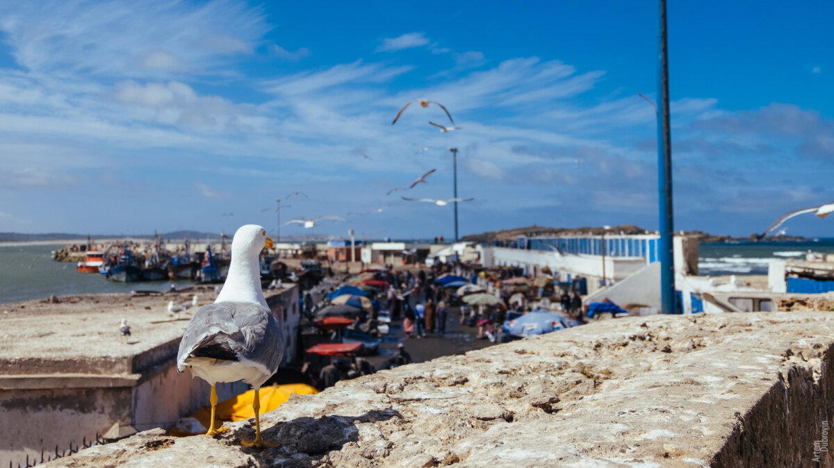 Марокко. Остановка вторая - Эссуэейра (Essaouira). Продолжение.