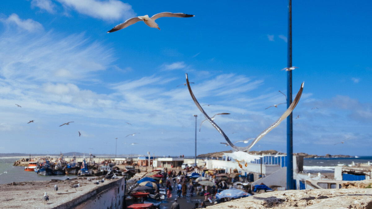 Марокко. Остановка вторая - Эссуэейра (Essaouira). Продолжение.