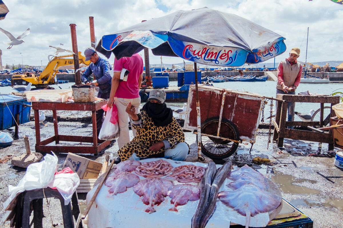 Марокко. Остановка вторая - Эссуэейра (Essaouira). Продолжение.