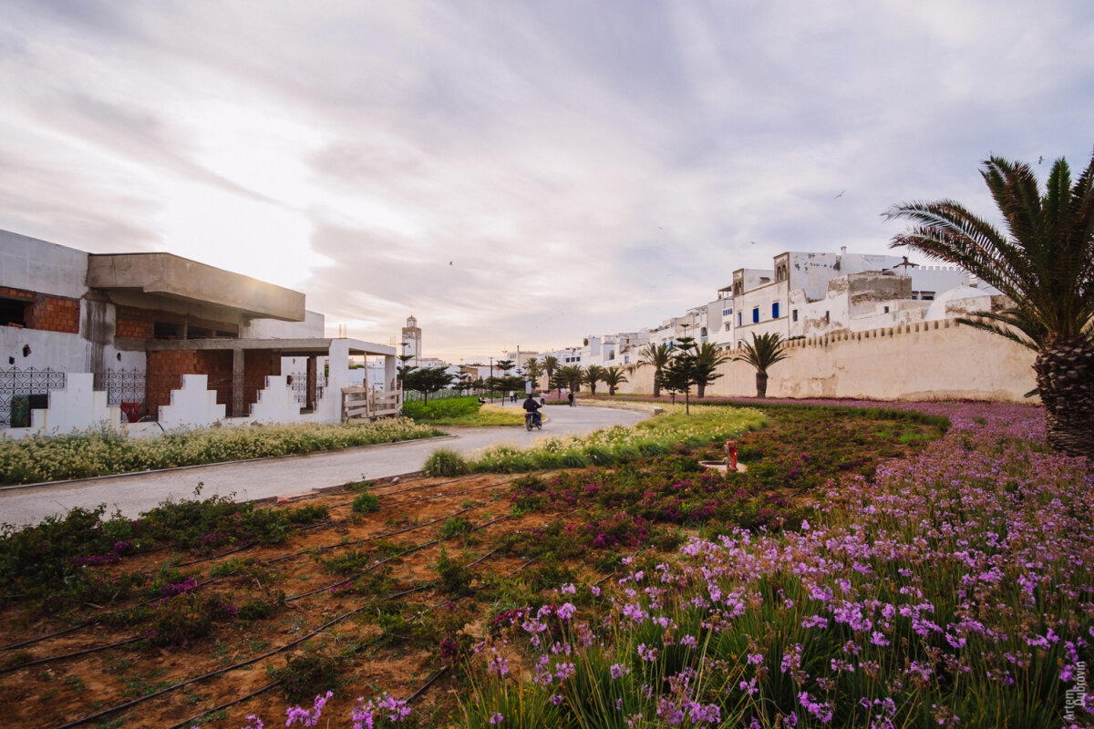 Марокко. Остановка вторая - Эссуэейра (Essaouira)