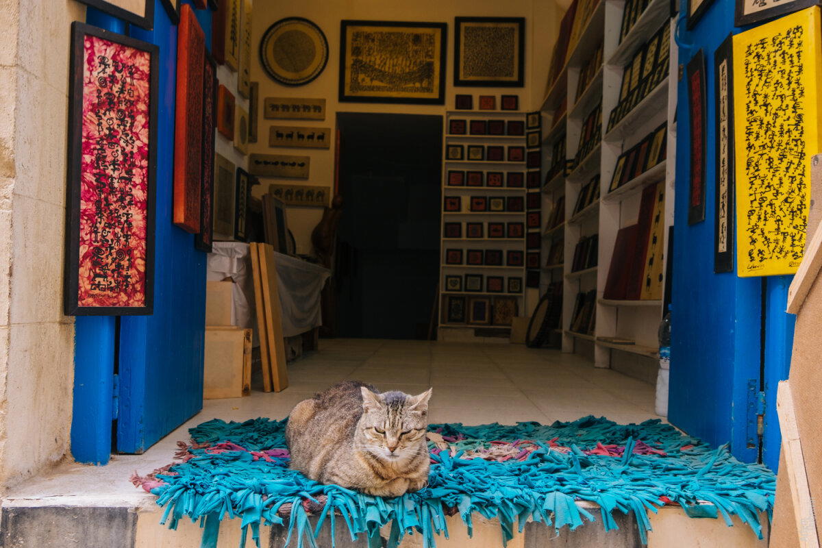 Марокко. Остановка вторая - Эссуэейра (Essaouira)