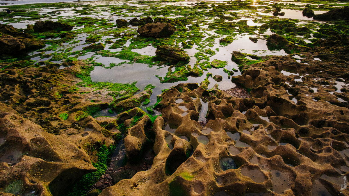 Марокко. Остановка вторая - Эссуэейра (Essaouira)