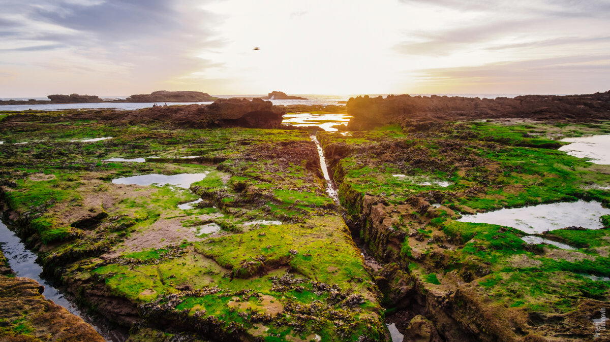Марокко. Остановка вторая - Эссуэейра (Essaouira)