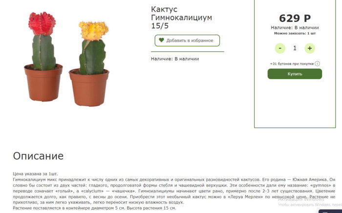 Маркетинговое мракобесие и кактусы