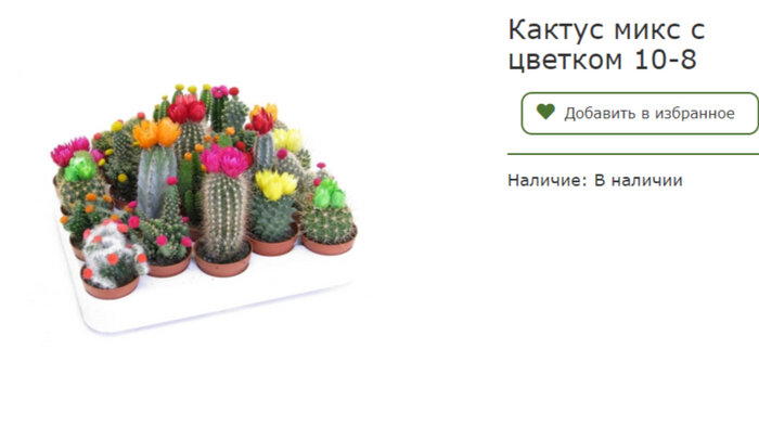 Маркетинговое мракобесие и кактусы⁠⁠