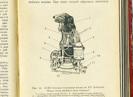 Айболит как апофигей опупеоза.
