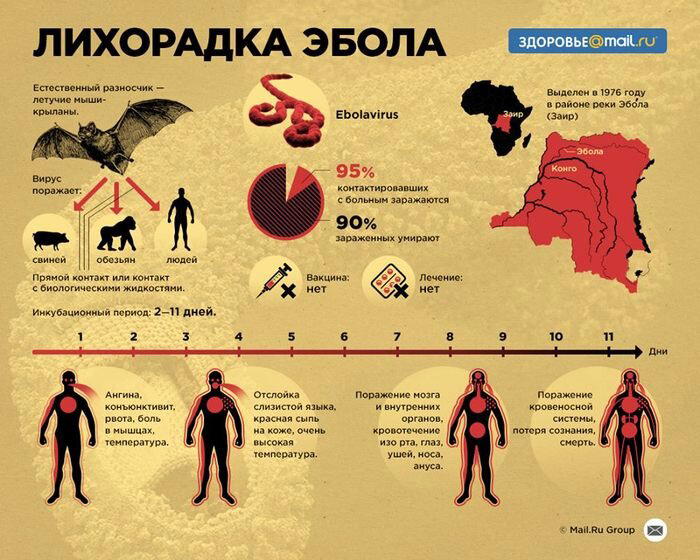 Айболит как апофигей опупеоза.