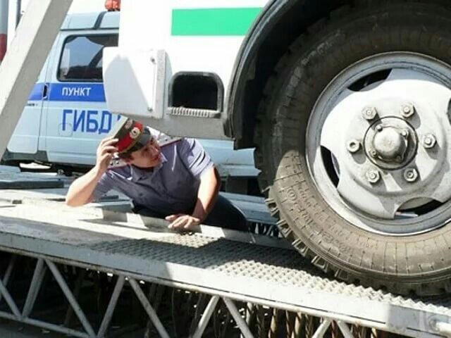 Водительская грамотность.Осмотр и досмотр.