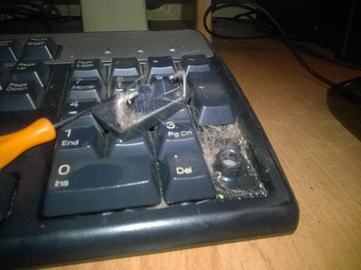 Почему я до сих пор пользуюсь HP