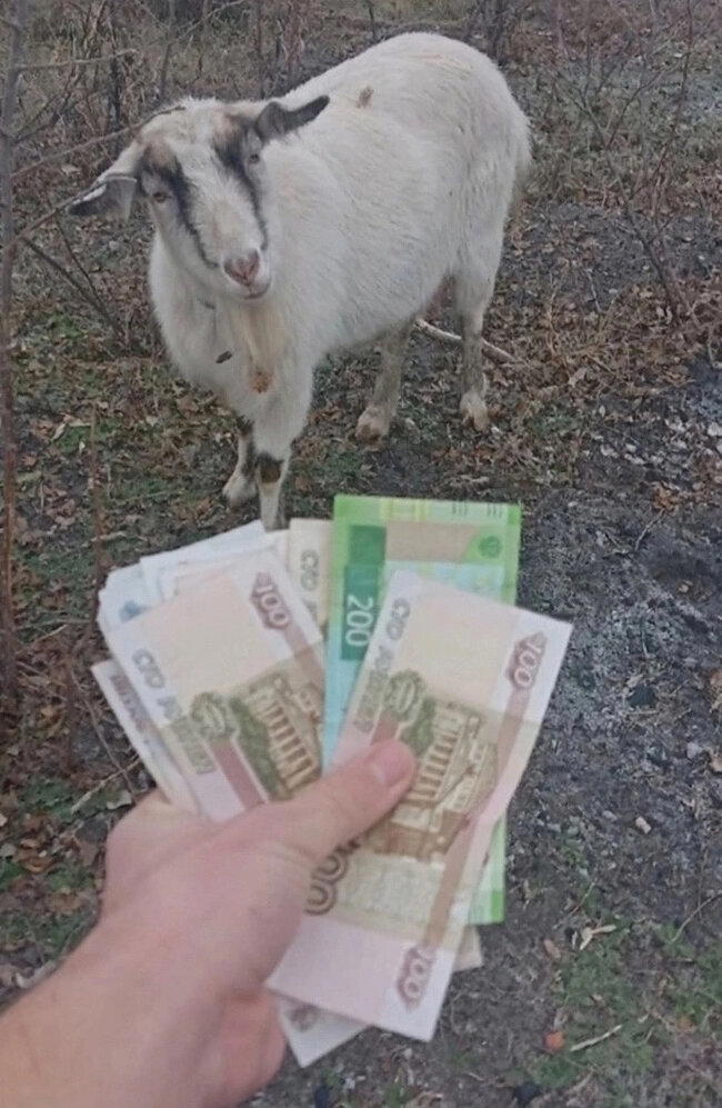 Любовь зла