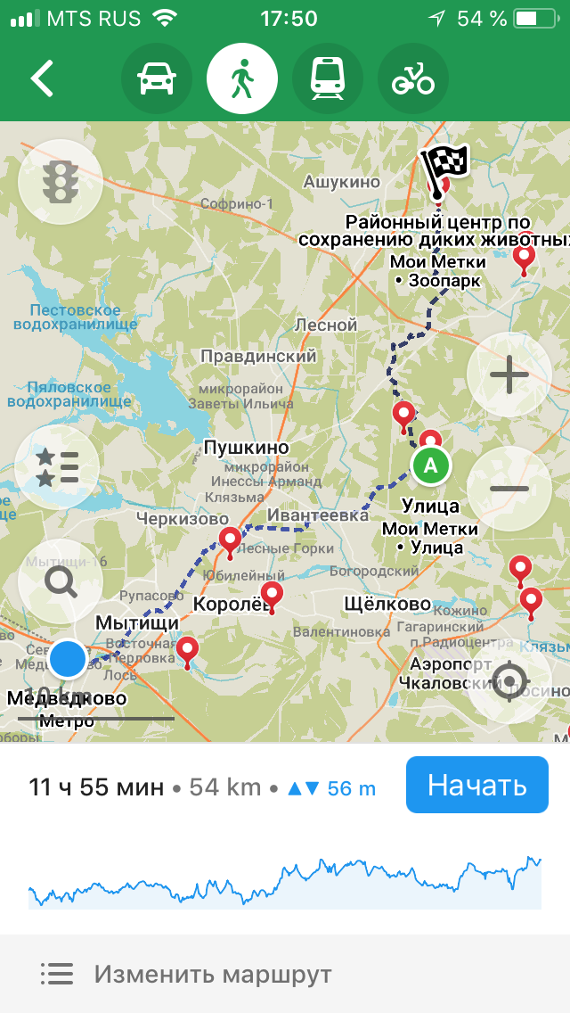 Поездка к кабанам и оленям, МО